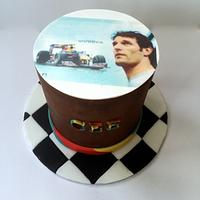 Mark Webber F1 driver