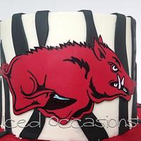 Arkansas Razorbacks Birthday Cake