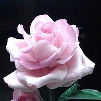 Pink rose in gumpaste
