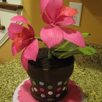 Pink Orchid Birthday Cake