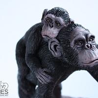 Bonobo Apes Mama and Baby