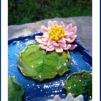 WATER LILY...