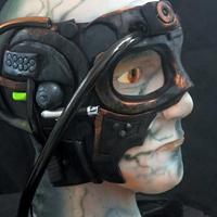 Locutus of Borg - Star Trek collaboration