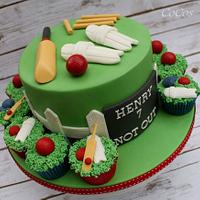 Cricket themed cake and cupcakes 