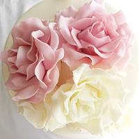 Roses and Lace Ivory Wedding Cake 