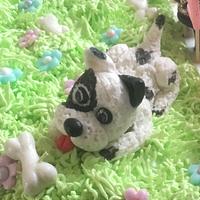 Little dog Little dog