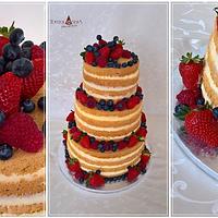 Naked cake & Fresh fruits