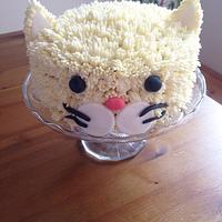 Cat cake Cat cake