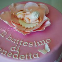 Pink Baby Butterfly cake