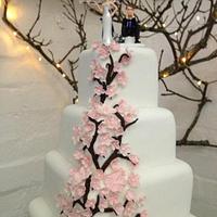 Cherry  blossom pettals with cherry tree on top, five tier, square fruit 