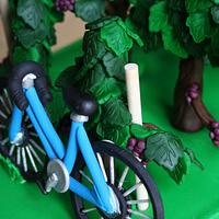 Grapevines & Bicycle 60th