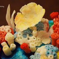 Coral Beauty:)