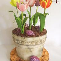 Pot of Tulips