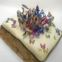 Book &butterflies cake