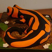 Salamander cake.