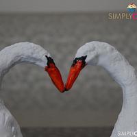 love birds... 