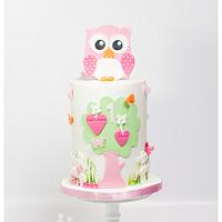 Sweet Girly Owl cake