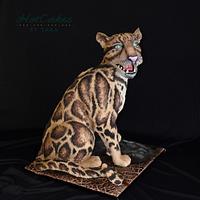 Clouded Leopard- Cake this again Collab 