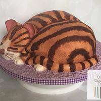 Sleepy Cat Cake