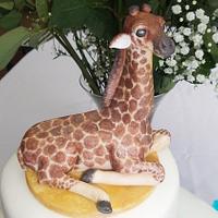 A Baby Giraffe for a Baby Shower