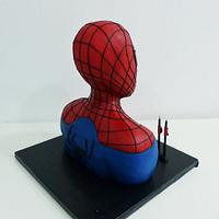 Spiderman 2013