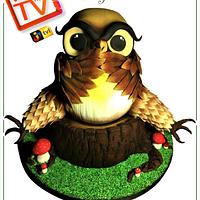 TV OWL