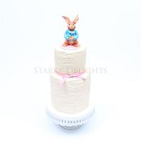 Peter Rabbit cake and Tutorial