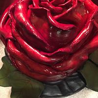 Red rose cake🌹