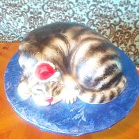 kitten cake with Santa hat