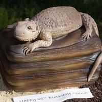 Reptile on a Rock