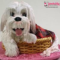 3D Puppy Dog in a Basket Cake