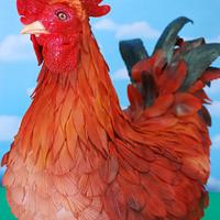 Macho the Rooster