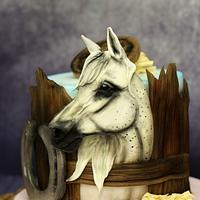 Horse cake Horse cake