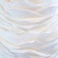 Black, white & ruffles wedding cake