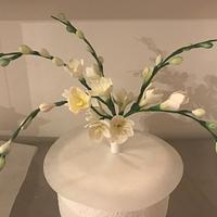 Freesias Freesias