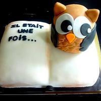 Owl on open book cake
