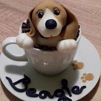 My sweet beagle love