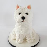3D Westie dog cake