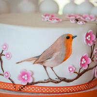 Hand painted Bird cake and cake pops