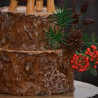 Winter Tree Stump Cake