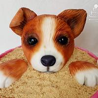 Puppy in the sand