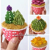 Succulent cake and cupcake set