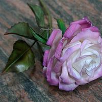 My purple gumpaste rose