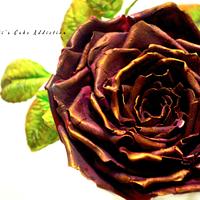 Antique Purple rose!!