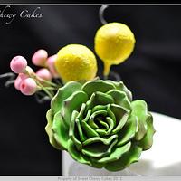 Green and Gold Quatrefoil With Succulent flower    