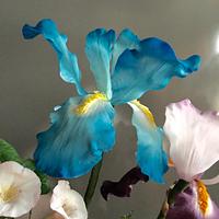 Iris and airbrush 