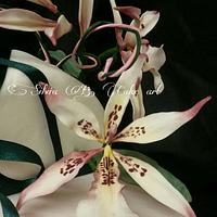Degarmoara Orchid in sugarpaste 
