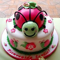 Ladybug Cake!