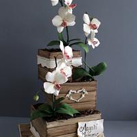 Orchids for my Mum! Orchids for my Mum!
