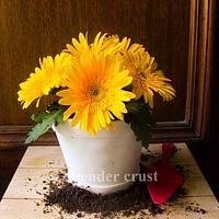 Edible Flower pot.